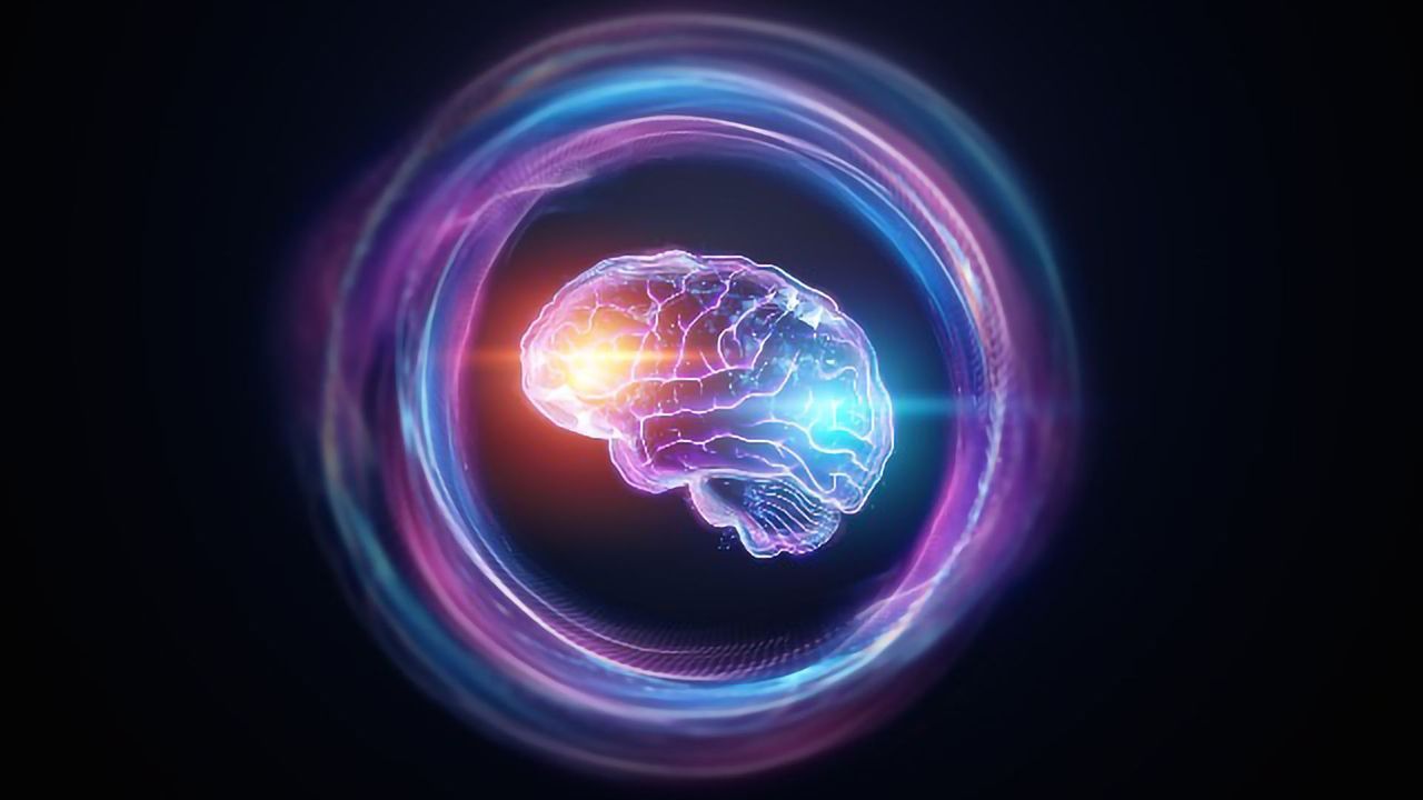 Artificial Neural Network Investigates How Decision Making Is Altered in Schizophrenia