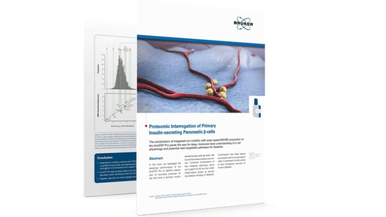 Proteomic Interrogation of Primary Insulin-Secreting Pancreatic β-cells