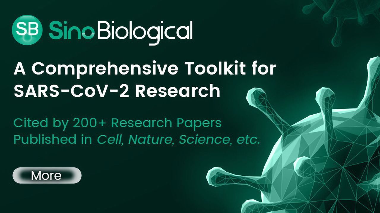 A Comprehensive Toolkit for SARS-CoV-2 Research
