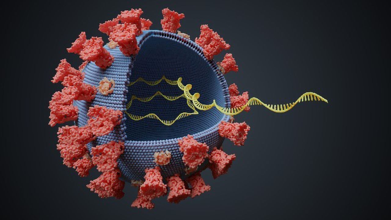 Next-Generation Sequencing: Tracking the Spread and Evolution of SARS-CoV-2