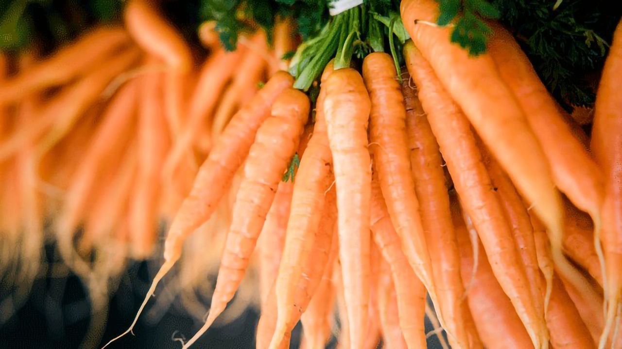 Raw and Cooked Carrots Are Off the Table for Those With Allergies – But Why?