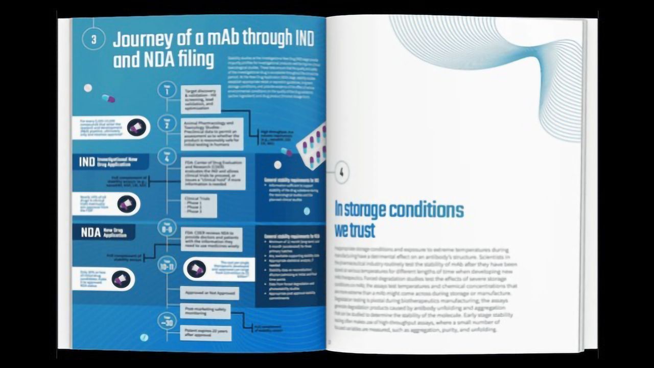 Your Guide To Developing Antibody-Based Therapeutics Efficiently