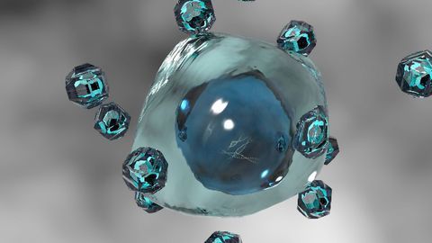 Direction of Physical Force Applied to a Cell Alters Gene Expression