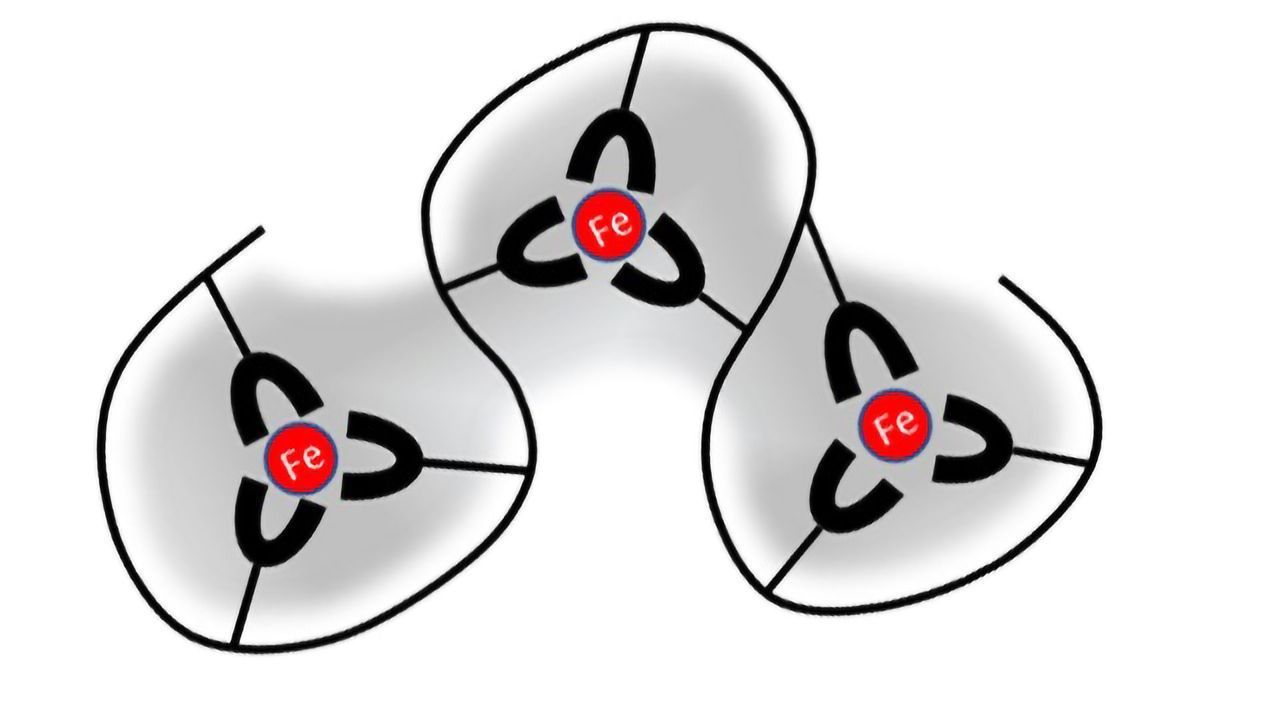 Chelation Partners’ Anti-infective Polymer Improves Survival in Bacterial Sepsis