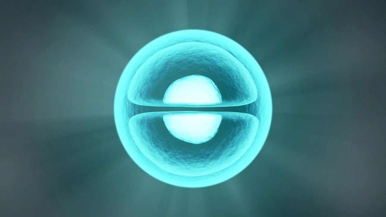 How Cells Build Organisms