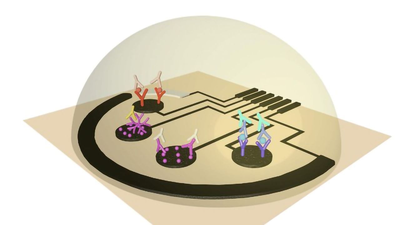 Low-Cost Sensor Can Rapidly Detect COVID-19 Infection