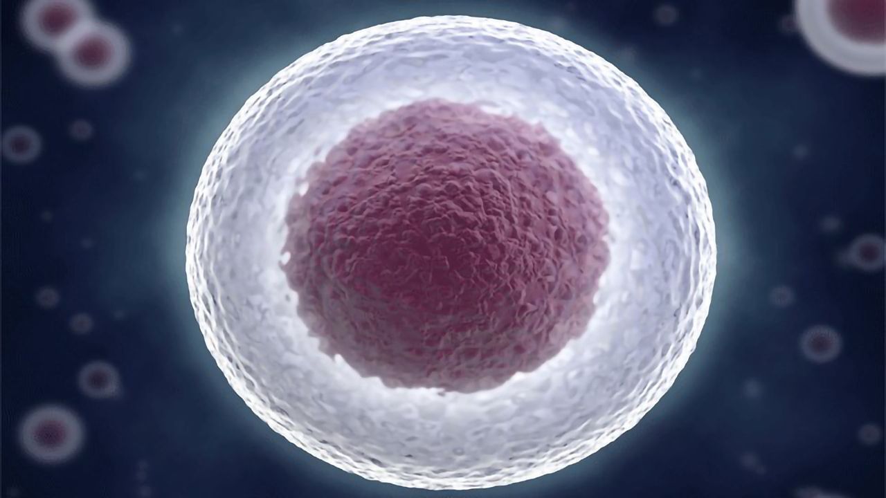 Cell Perturbation System Could Have Medical Applications