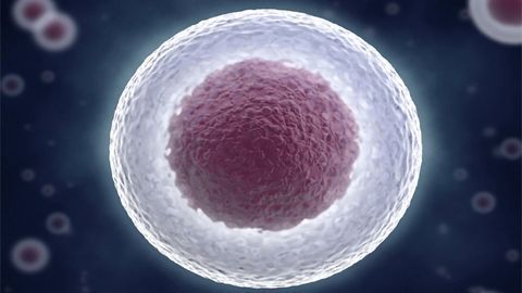 Cell Perturbation System Could Have Medical Applications