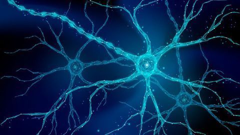 Hormone-Altering Protein Could Be Link Between Stress and Depression