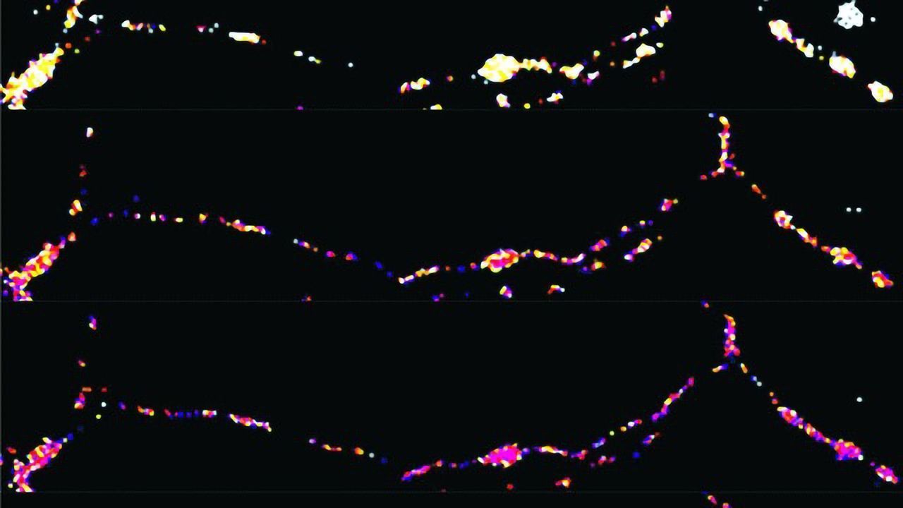 Powerplant Recruitment Helps Energize Neuronal Communication