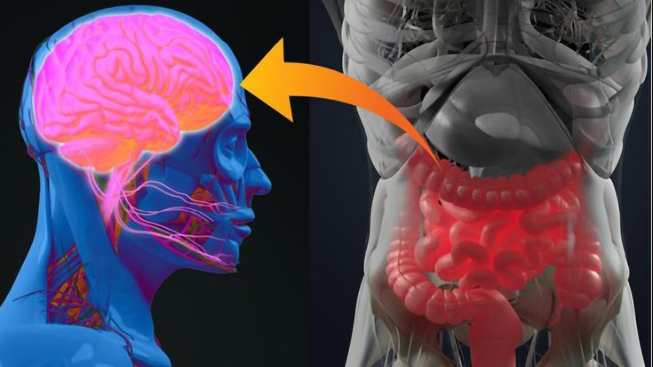 Targeting the "Second Brain" in Our Gut Could Help Fight Diabetes