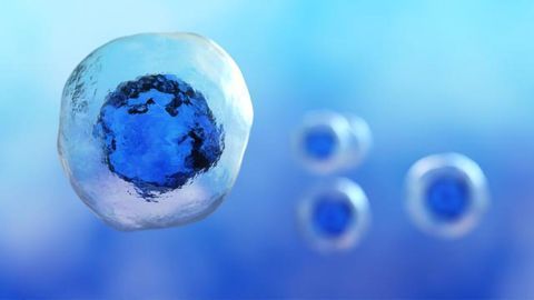 Mysterious Molecular Concept Could Be Used To Target Diseased Cells With High Specificity