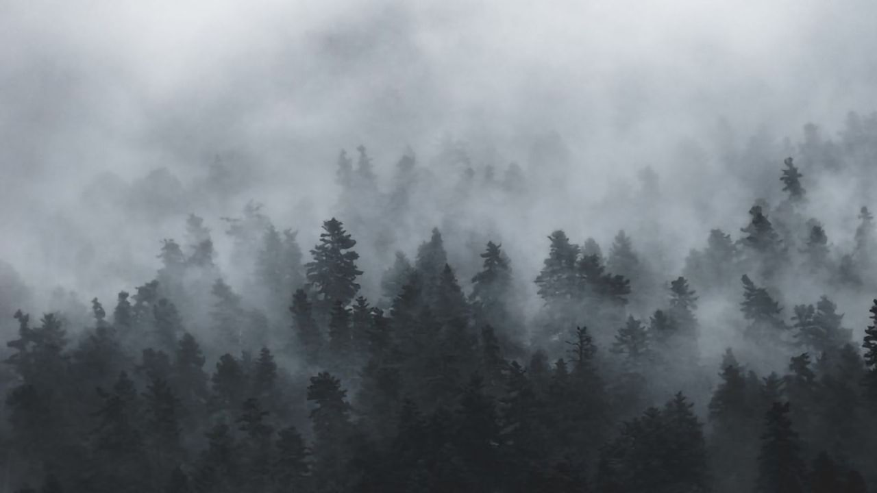 Could Post-COVID-19 "Brain Fog" Be a Sign of PTSD?