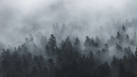 Could Post-COVID-19 "Brain Fog" Be a Sign of PTSD?