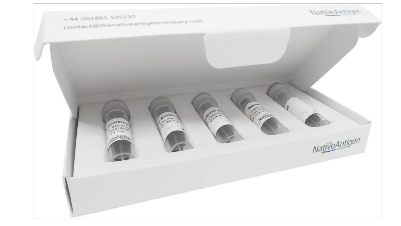 The Native Antigen Company Launches SARS-CoV-2 Specific Antibodies