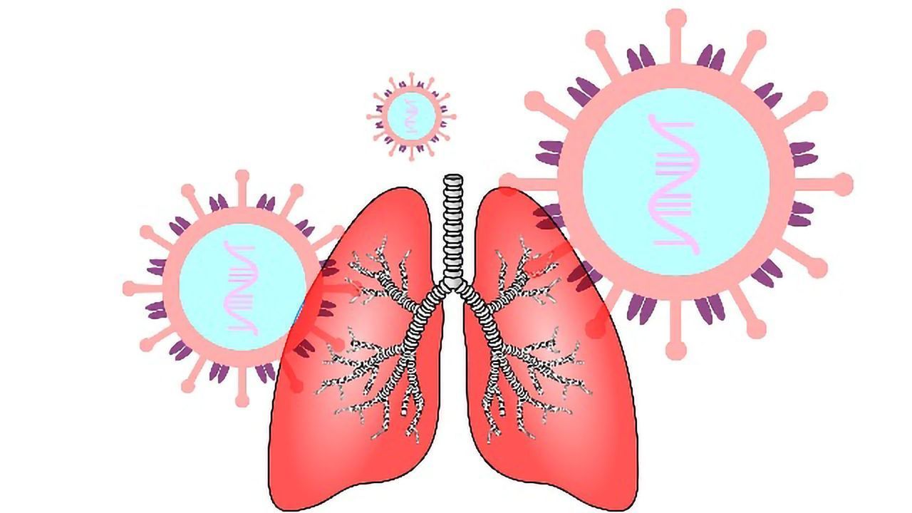 Artificial Lung Helps Investigate How COVID-19 Causes Blood Clots