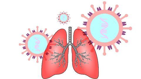 Artificial Lung Helps Investigate How COVID-19 Causes Blood Clots