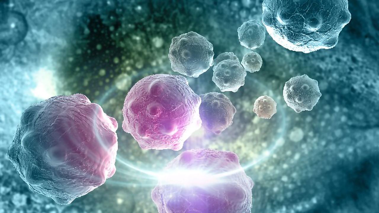 Changing the Course of Early Cancer Detection To Save More Lives