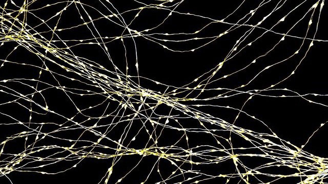 How the Brain Separates Past From Present Dangers