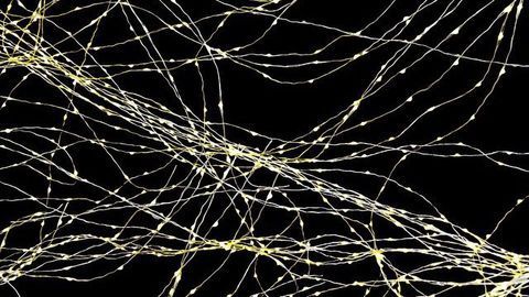 How the Brain Separates Past From Present Dangers