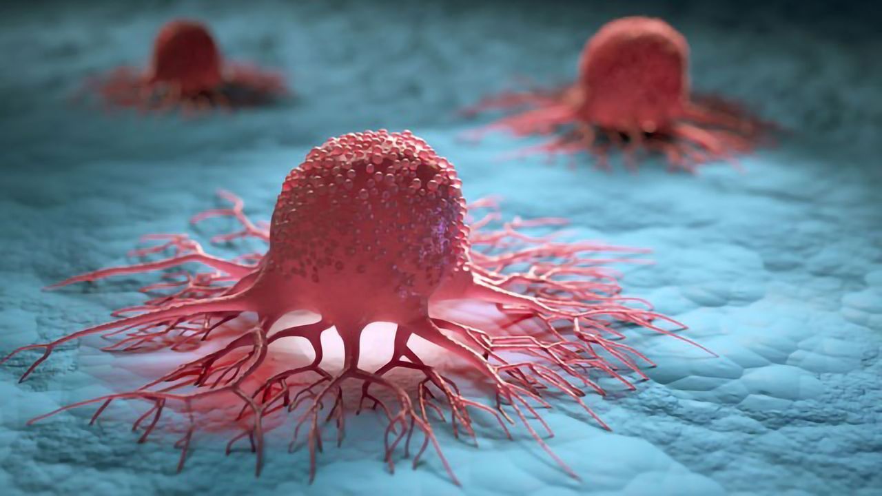 Engineering Innovative CAR T-Cell Therapy Candidates for Cancer