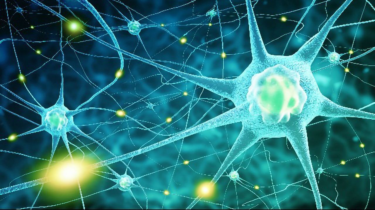 Traveling Brain Waves Reveal Hard-To-See Objects