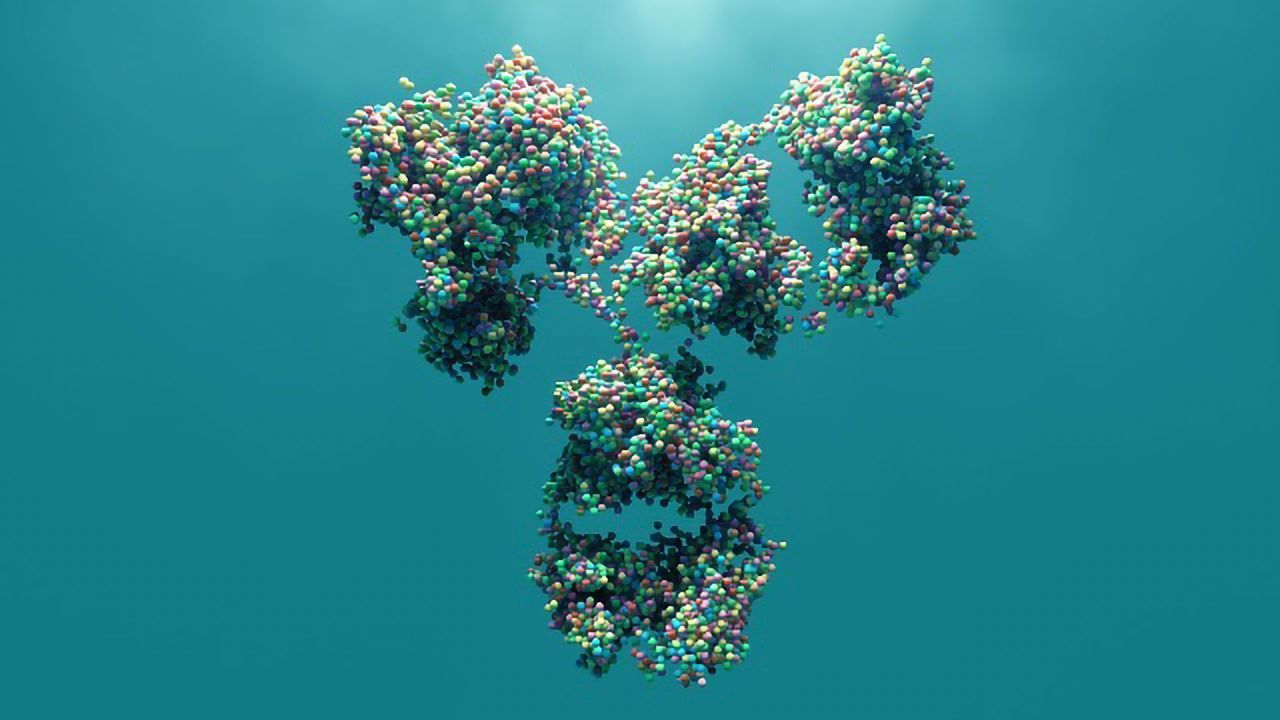 SARS-CoV-2 Protective Antibodies Persist for Months in Survivors of Serious Infection