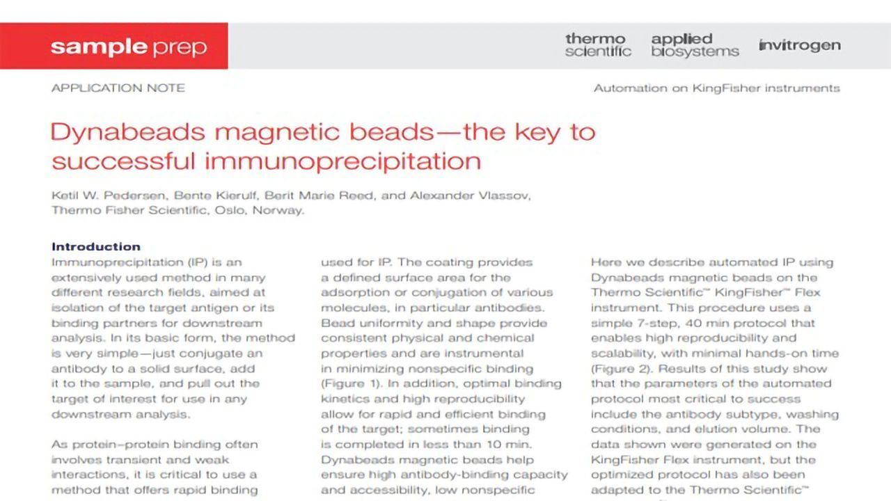 Achieve Successful Immunoprecipitation With Dynabeads