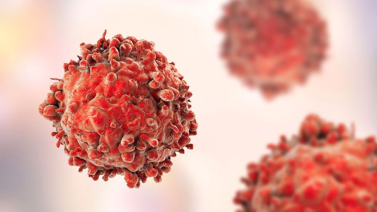 Experimental Glioblastoma Drug Enhances Survival in Mouse Model