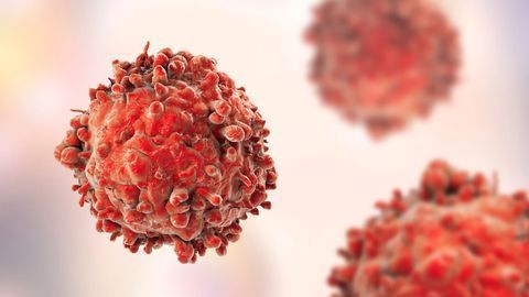 Experimental Glioblastoma Drug Enhances Survival in Mouse Model