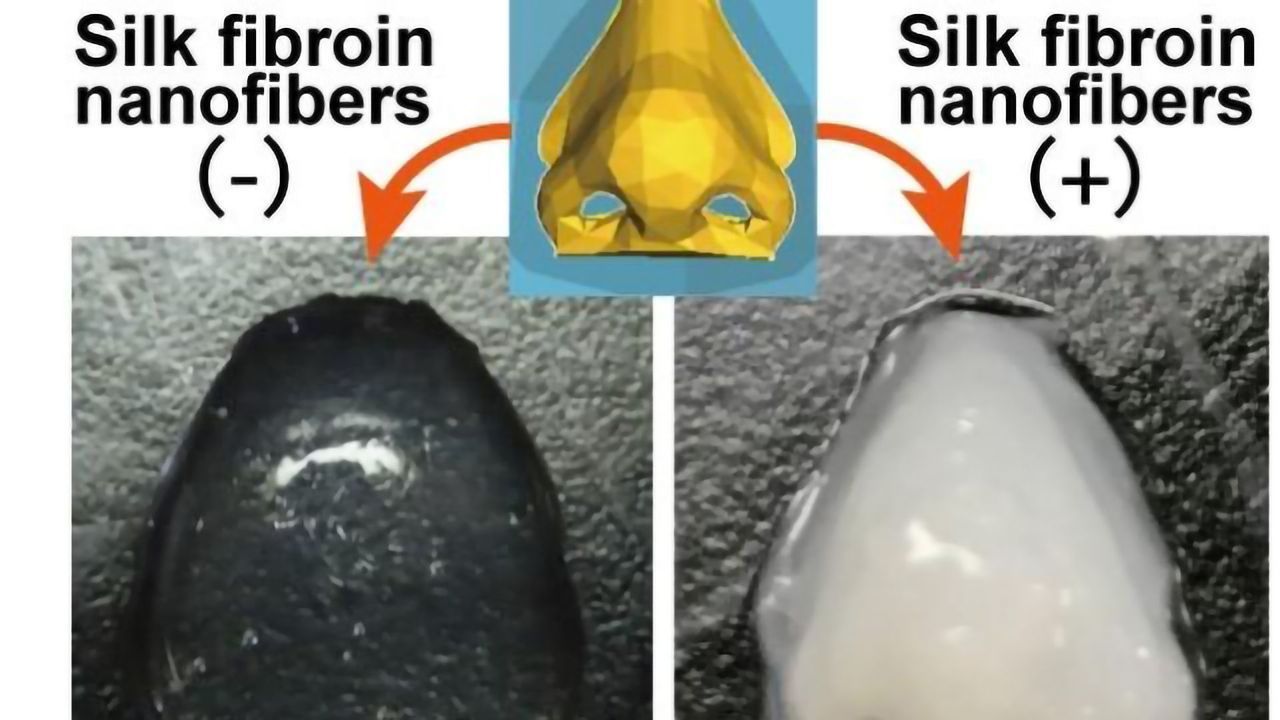 Silk Fibers Improve Bioink for 3D-Printed Artificial Tissues and Organs