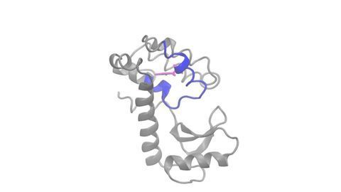 Using AI To Create a Language of Protein Shapes