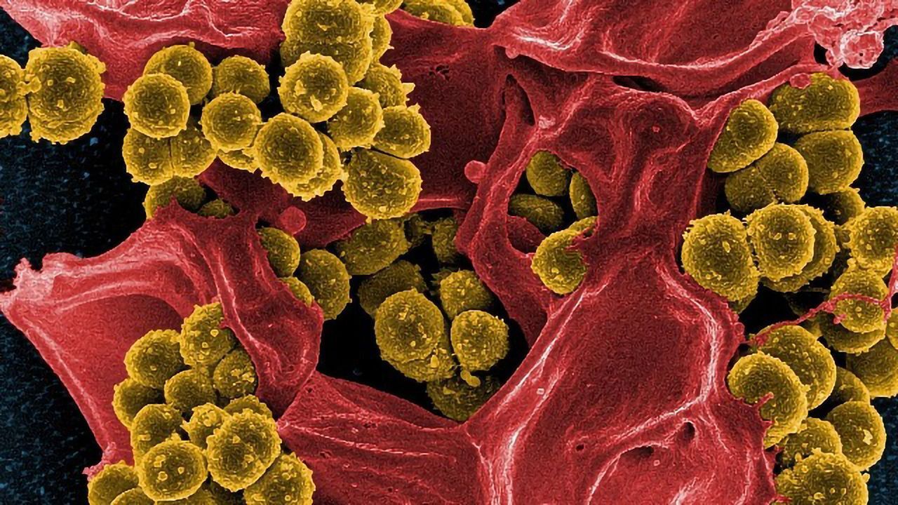 Personalized Medicine Model Aiming To Improve Diagnosis and Treatment of Chronic Diseases