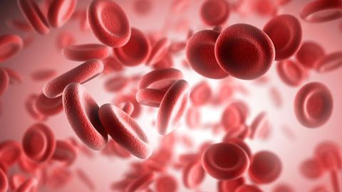 Enhanced Common Blood Test Could Predict Adverse Outcomes in Pregnancy