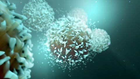 First Structural Model of BAF Complex Sheds Light on Cancer