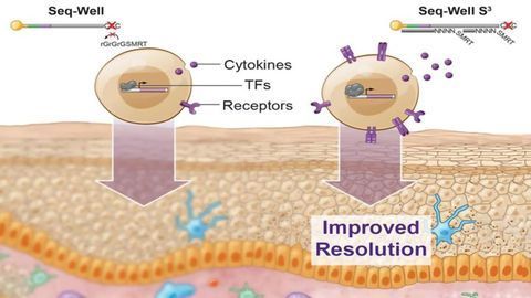 Recovering Lost Information in Single-Cell RNA-Sequencing