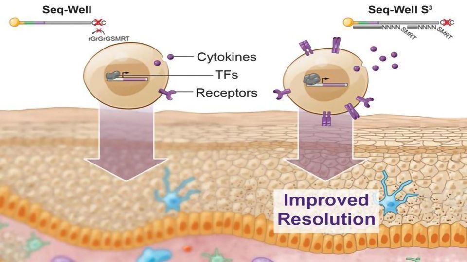 Recovering Lost Information in Single-Cell RNA-Sequencing content piece image