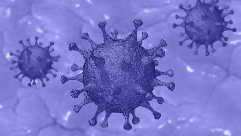 New Blood Test Predicts Which COVID-19 Patients Will Develop Severe Infection