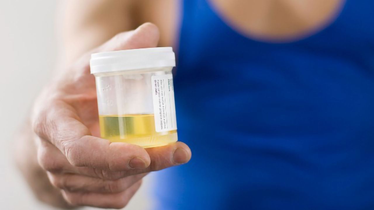 Protein Enabling Our Sense of Touch Also Informs Us That Our Bladder Is Full