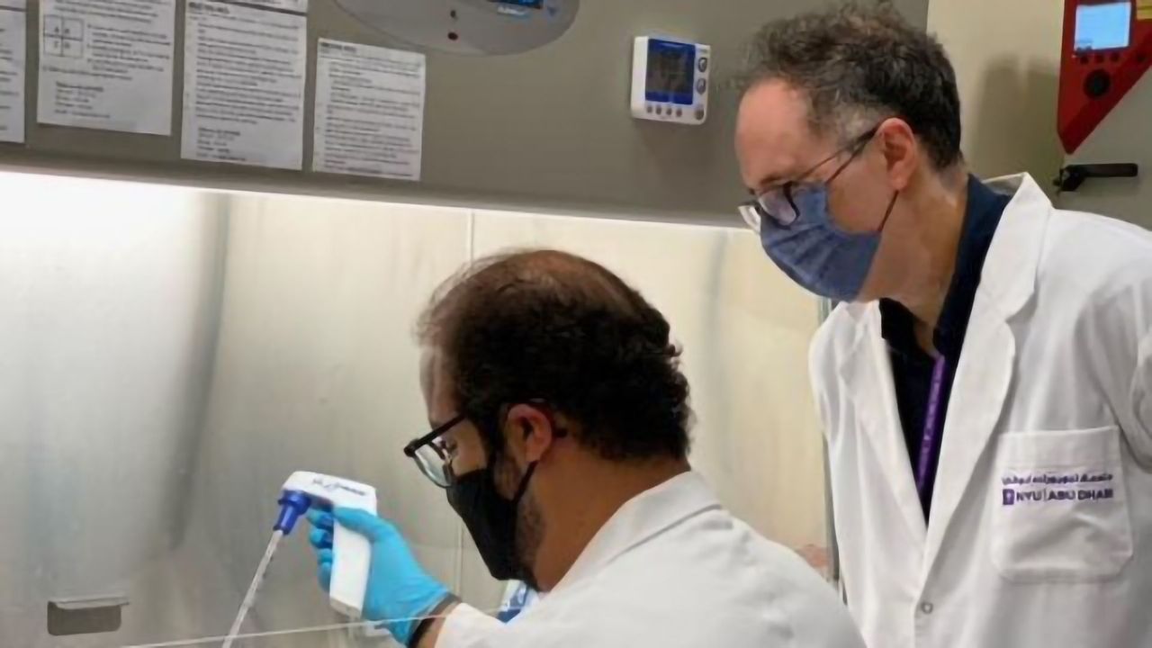 Key Protein Linked to Malformation of Fat Tissue Is Found