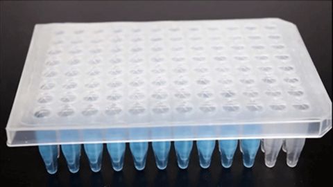 Comparison of Seals and Silicone Mats for Maintaining Integrity of Drug Samples