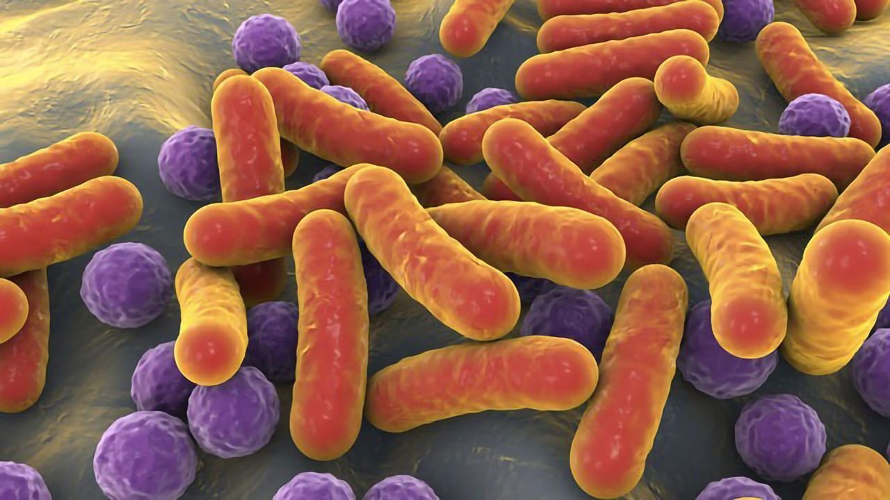 Six Steps Towards Understanding the Microbiome and Cancer