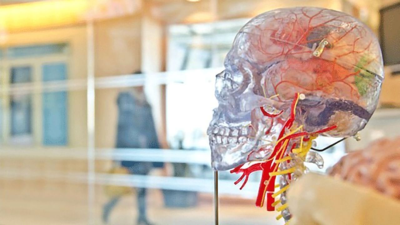 Johns Hopkins Scientists Receive Grant To Develop Implantable Ultrasound Devices for Spinal Cord Injury Patients