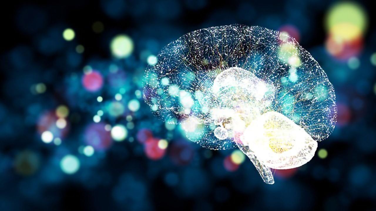 Genes That "Jump" May Rewire Neuronal Function in the Brain