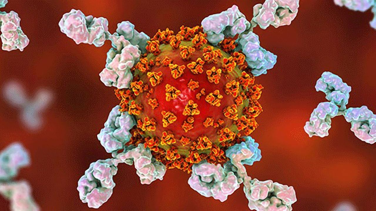 SARS-CoV-2 Antibodies and Antigens for Diagnostic Kit Development