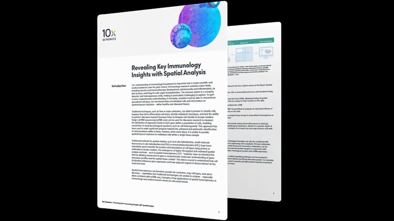 Revealing Key Immunology Insights With Spatial Analysis