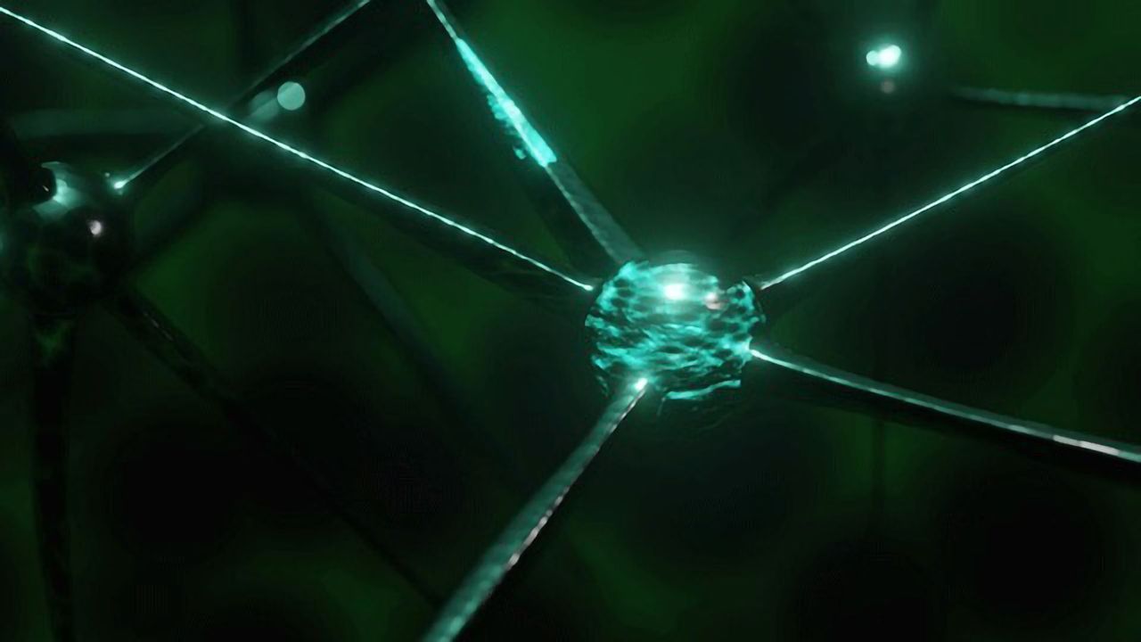 Serotonin Regulator Plays Role in Emotional Reactivity