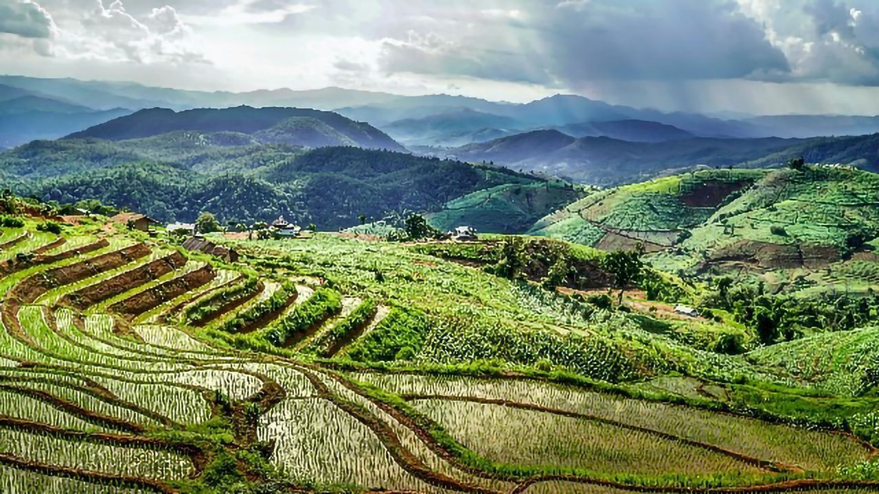 Addressing Micronutrient Malnutrition With Plant Genetic Engineering