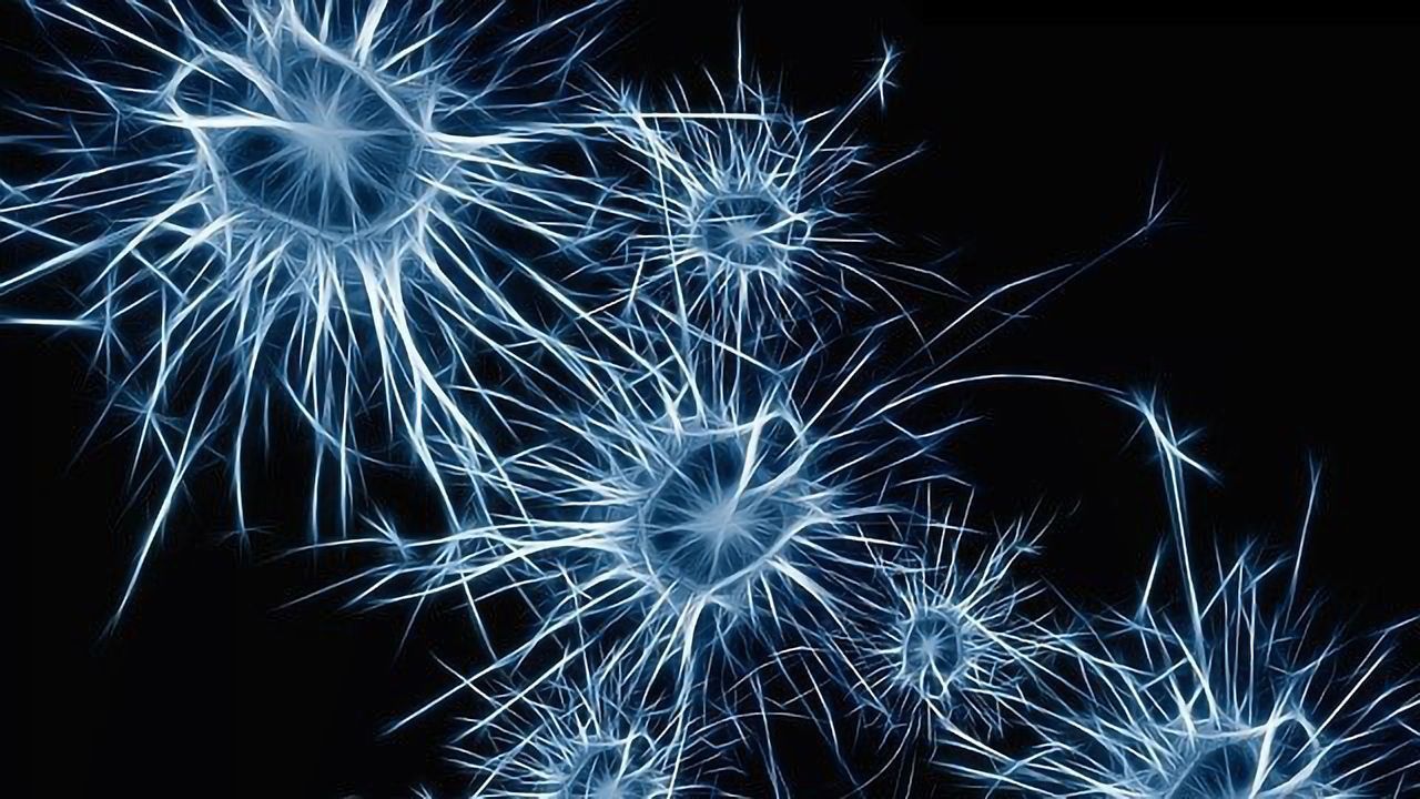 After Cocaine Use, Astrocytes Build New Brain Connections
