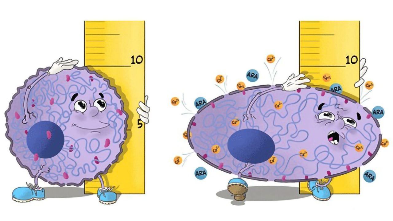 How Do Cancer Cells Escape Crowded Tumors?